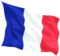 Каталог подбора моторных масел из Франции